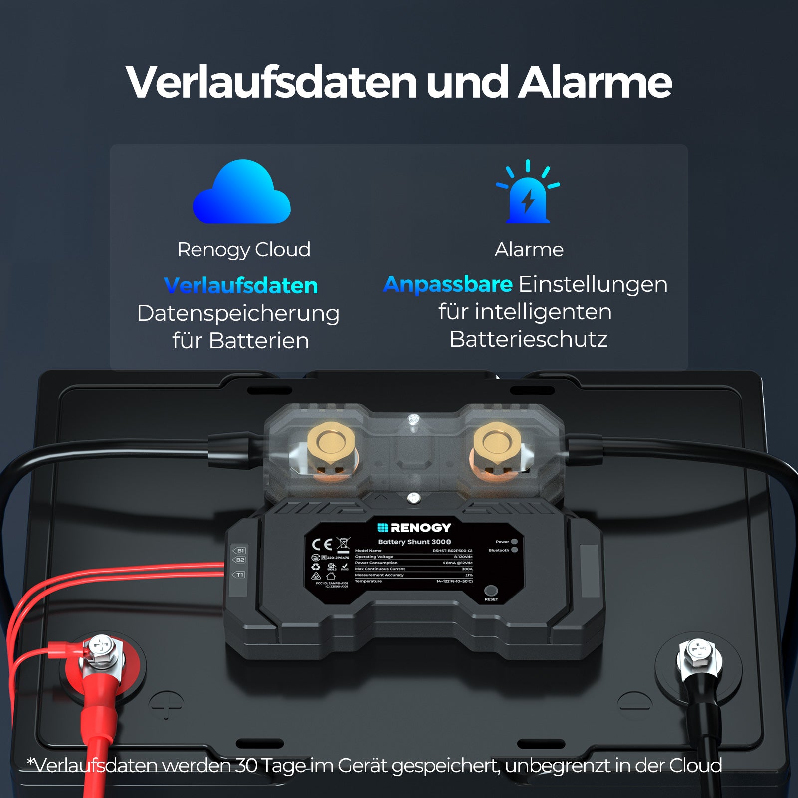 renogy-batterie-shunt-300-mit-bluetooth-berwachung image 6