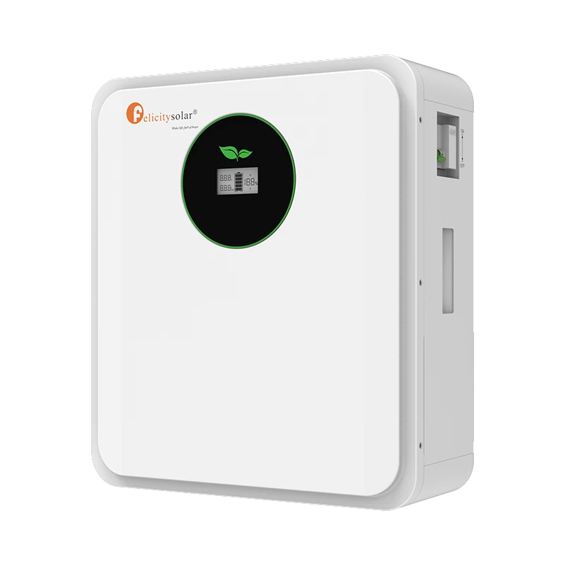 felicity-solar-fla24100-eu-lifepo4-solarspeicher-2-56-kwh-25-6v-100ah image 2