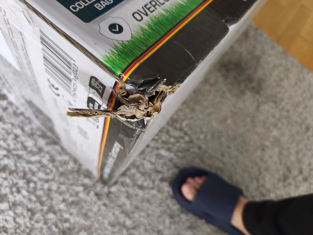 Guter Mäher für kleines Geld