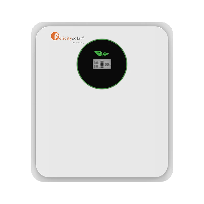 felicity-solar-fla24100-lifepo4-batterie-24v-100ah image 1