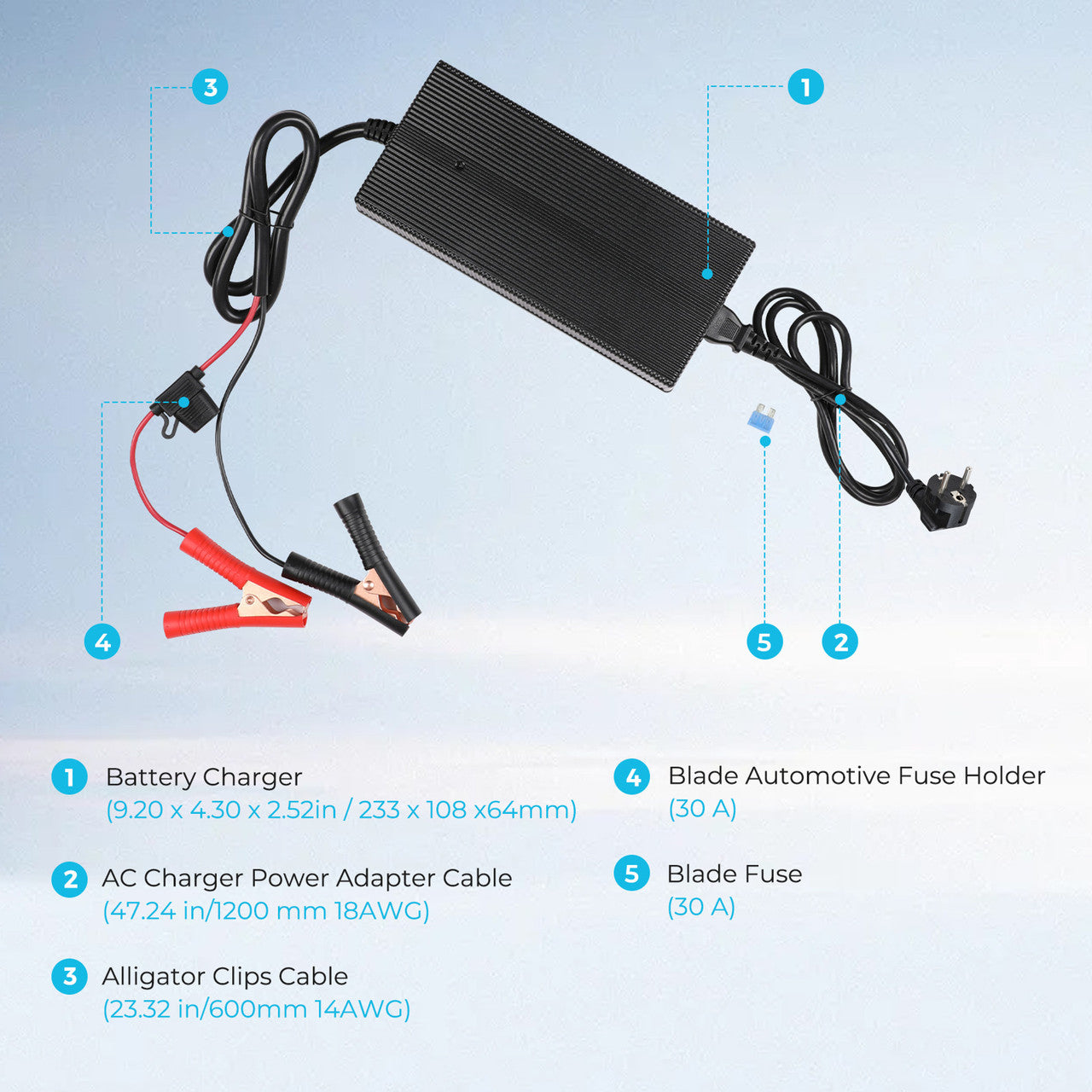 renogy-12v-20a-ac-zu-dc-lithium-batterie-ladeger-t image 4