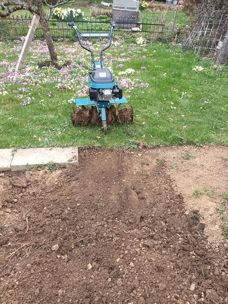 Perfekt für den Hausgarten